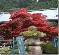 道了尊-04