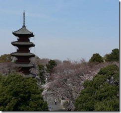 本門寺-01