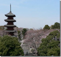 本門寺-02