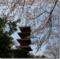 本門寺-05