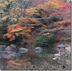 紅葉京都-002