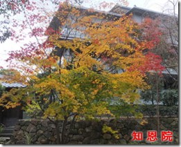 紅葉京都-003