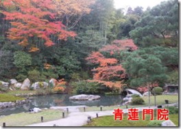 紅葉京都-005